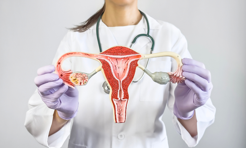 Vaginose ou candidíase?